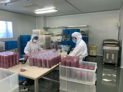 政策支持與精準服務 虹口區助力企業3天攻克病毒采樣管研制難關