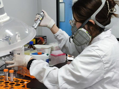 以點帶鏈 以鏈帶面 上海生物制品產(chǎn)業(yè)有序復(fù)工復(fù)產(chǎn)的路徑探索